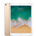 iPad Pro 10.5" (2017) 256GB - Gold (Wi-Fi)